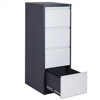 Металевий ящик шафи